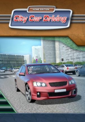 City Car Driving