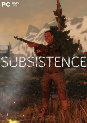 Subsistence