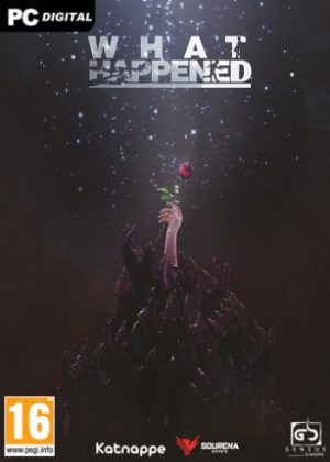 What Happened