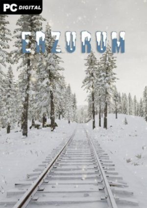 Erzurum