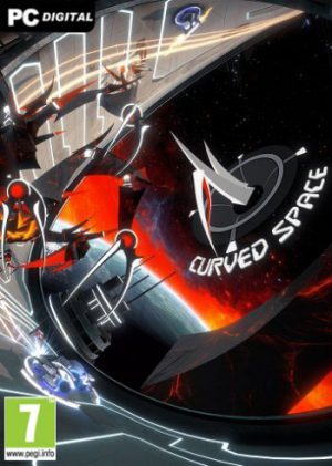 Curved Space