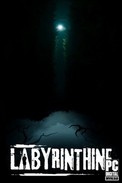 Labyrinthine