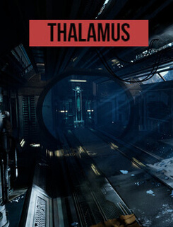 Thalamus