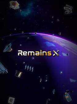Remains
